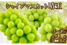 岡山県産 シャインマスカット 晴王 約2kg（3～5房）【2025年9月上旬-10月下旬 発送予定】｜種無し 皮ごと食べる 旬の美味しさ フレッシュ 先行予約 人気商品 ハレノフルーツ