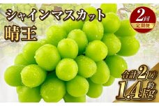 【定期便 全2回／2025年9・10月発送】 岡山県産シャインマスカット 晴王 1房 約700g｜2回定期便 9月・10月に1回づつお届け 種無し 皮ごと食べる 旬の美味しさ フレッシュ 先行予約 ハレノフルーツ