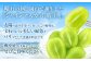 【定期便 全2回／2025年9・10月発送】 岡山県産シャインマスカット 晴王 2房 約1.1kg