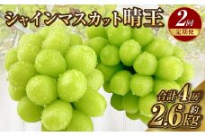 【定期便 全2回／2025年9・10月発送】 岡山県産シャインマスカット 晴王 2房 約1.3kg｜2回定期便 9月10月に1回づつ発送 種無し 皮ごと食べる 旬の美味しさ フレッシュ 先行予約 ハレノフルーツ