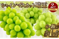 【定期便 全2回／2025年9・10月発送】 岡山県産シャインマスカット 晴王 約2kg（3～5房）｜2回定期便 9月10月に1回づつ発送 種無し 皮ごと食べる 旬の美味しさ フレッシュ 先行予約 ハレノフルーツ