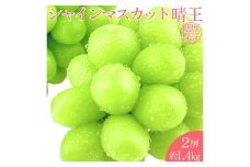 シャインマスカット 晴王 2房 約1.4kg  【2026年7月下旬-8月下旬 発送予定】【シャインマスカット マスカット ぶどう 葡萄 岡山県産   種無し 皮ごと食べる みずみずしい7月～8月にお届け フレッシュ 温室栽培 晴れの国おかやま 果物大国 彩美菜果 岡山県 倉敷市 おすすめ 人気 】