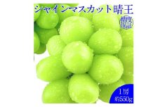 シャインマスカット 晴王 1房 約550g 種無し  皮ごと食べる  フレッシュ  旬の美味しさ【2025年9月上旬-10月下旬 発送予定】【岡山県産 種無し 皮ごと食べる みずみずしい 甘い フレッシュ 9月～10月発送 晴れの国 おかやま ぶどう 葡萄 マスカット 果物大国 彩美菜果 岡山県 倉敷市 おすすめ 人気】