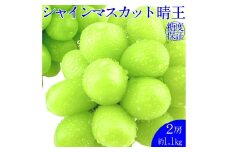 シャインマスカット 晴王 2房 約1.1kg 種無し  皮ごと食べる  フレッシュ  旬の美味しさ【2025年9月上旬-10月下旬 発送予定】【岡山県産 種無し 皮ごと食べる みずみずしい 甘い フレッシュ 9月～10月発送 晴れの国 おかやま ぶどう 葡萄 マスカット 果物大国 彩美菜果 岡山県 倉敷市 おすすめ 人気】