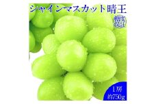 シャインマスカット 晴王 １房 約750g 種無し  皮ごと食べる  フレッシュ  旬の美味しさ【2025年9月上旬-10月下旬 発送予定】【岡山県産 種無し 皮ごと食べる みずみずしい 甘い フレッシュ 9月～10月発送 晴れの国 おかやま ぶどう 葡萄 マスカット 果物大国 彩美菜果 岡山県 倉敷市 おすすめ 人気】