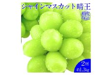 シャインマスカット 晴王 2房 約1.3kg 種無し  皮ごと食べる  フレッシュ  旬の美味しさ【2025年9月上旬-10月下旬 発送予定】【岡山県産 種無し 皮ごと食べる みずみずしい 甘い フレッシュ 9月～10月発送 晴れの国 おかやま ぶどう 葡萄 マスカット 果物大国 彩美菜果 岡山県 倉敷市 おすすめ 人気】