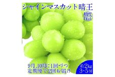 【2回定期便】シャインマスカット 晴王 約2kg（3～5房） ２回 定期便  9月・10月に1回ずつ発送 岡山県産 種無し 皮ごと食べる みずみずしい 甘い フレッシュ【岡山県産 種無し 皮ごと食べる みずみずしい 甘い フレッシュ 9月～10月発送 晴れの国 おかやま ぶどう 葡萄 マスカット 果物大国 彩美菜果 岡山県 倉敷市 おすすめ 人気】