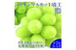 【2回定期便】シャインマスカット 晴王 約2kg（3～5房） 