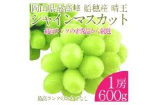  プレミアム シャインマスカット 晴王 1房 約600g【2025年9月上旬-10月下旬 発送予定】 【シャインマスカット マスカット ぶどう 葡萄 岡山県産   種無し 皮ごと食べる みずみずしい 9月～10月お届け フレッシュ 晴れの国おかやま 果物大国 贈答品 彩美菜果 岡山県 倉敷市 おすすめ 人気 】