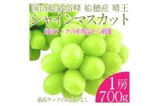  プレミアム シャインマスカット 晴王 1房 約700g 種無し  皮ごと食べる  フレッシュ  旬の美味しさ【2025年9月上旬-10月下旬 発送予定】【シャインマスカット マスカット ぶどう 葡萄 岡山県産   種無し 皮ごと食べる みずみずしい 9月～10月お届け フレッシュ 晴れの国おかやま 果物大国 贈答品 彩美菜果 岡山県 倉敷市 おすすめ 人気 】