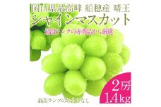  プレミアム シャインマスカット 晴王 2房 約1.4kg 種無し  皮ごと食べる  フレッシュ  旬の美味しさ【2025年9月上旬-10月下旬 発送予定】【シャインマスカット マスカット ぶどう 葡萄 岡山県産   種無し 皮ごと食べる みずみずしい 9月～10月お届け フレッシュ 晴れの国おかやま 果物大国 贈答品 彩美菜果 岡山県 倉敷市 おすすめ 人気 】