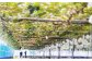岡山県産 シャインマスカット 家庭用 約10kg