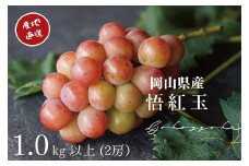 厳選 悟紅玉 旧ゴルビー 2房 合計1.0kg以上 産地直送 朝採れ ぶどう 葡萄 岡山 Kawahara Green Farm【2025年8月下旬～9月下旬 順次発送予定】