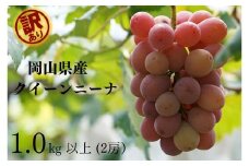 訳あり クイーンニーナ 2房 合計1.0kg以上 産地直送 朝採れ ぶどう 葡萄 岡山 Kawahara Green Farm 【2025年8月下旬～9月下旬 順次発送予定】