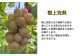 訳あり クイーンニーナ 2房 合計1.0kg以上