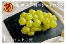 訳あり 瀬戸ジャイアンツ 2房 合計1.0kg以上 産地直送 朝採れ ぶどう 葡萄 岡山 Kawahara Green Farm 岡山県産 【2025年9月上旬～10月下旬 順次発送予定】