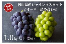 厳選 シャインマスカット・ニューピオーネ 2房 合計1.0kg以上 詰合せ 産地直送 朝採れ ぶどう 葡萄 Kawahara Green Farm 岡山県産 【2025年8月下旬～9月下旬 順次発送予定】
