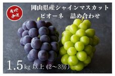 厳選 シャインマスカット・ニューピオーネ 2～3房 合計1.5kg以上 詰合せ 産地直送 朝採れ ぶどう 葡萄 Kawahara Green Farm 岡山県産 【2025年8月下旬～9月下旬 順次発送予定】