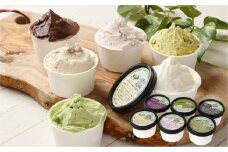 ジェラート 6個セット アイス 90ml 6種 各1個 ミルク いちごミルク ピスタチオ チョコ 抹茶 ラムレーズン 詰め合わせ 食べ比べ 岡山県 倉敷市