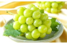 シャインマスカット晴王 約500g×2房 計約1kg【2025年8月下旬～11月下旬迄順次発送予定】 マスカット 葡萄 ぶどう ブドウ 果物 フルーツ 岡山県 倉敷市