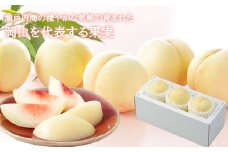 岡山白桃 エース3玉×約200g 計約600g 岡山県産 【2025年7月上旬～8月下旬迄順次発送予定】 モモ もも 桃 白桃 果物 フルーツ 岡山県 倉敷市