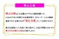 岡山白桃 エース3玉×約200g 計約600g