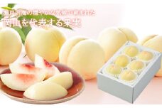岡山白桃 エース 4～6玉 約1kg 岡山県産 【2025年7月上旬～8月下旬迄順次発送予定】 モモ もも 桃 白桃 果物 フルーツ 岡山県 倉敷市