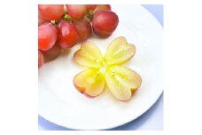 岡山県産 マイハート 1房 （約500g） 【2025年9月下旬～11月上旬迄順次発送予定】 ぶどう 葡萄 ブドウ フルーツ 果物 果実 ハート型 種なし 皮ごと 岡山県 倉敷市 冷蔵