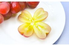 岡山県産 マイハート 1房 （約500g） 【2025年9月下旬～11月上旬迄順次発送予定】 ぶどう 葡萄 ブドウ フルーツ 果物 果実 ハート型 種なし 皮ごと 岡山県 倉敷市 冷蔵