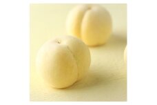 岡山県産 冬桃がたり 3個入り （合計約600g） 【2025年11月下旬～2026年1月上旬迄順次発送予定】 桃 もも モモ 果物 果実 フルーツ 希少 岡山県 倉敷市 冷蔵