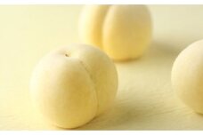 岡山県産 冬桃がたり 3個入り （合計約600g） 【2025年11月下旬～2026年1月上旬迄順次発送予定】 桃 もも モモ 果物 果実 フルーツ 希少 岡山県 倉敷市 冷蔵