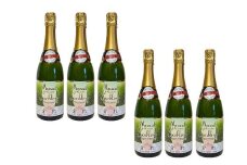 ふなおワイナリー マスカット・オブ・アレキサンドリア（スパークリングワイン） 750ml×6本【ワイン スパークリングワイン ふなおワイナリー お酒 酒 さけ岡山県 倉敷市 人気 おすすめ】