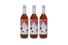 ふなおワイナリー ピオーネ100％果汁 710ml×3本【ピオーネ 葡萄 ぶどう ブドウ ジュース ストレートジュース 岡山県 倉敷市 おすすめ 人気】
