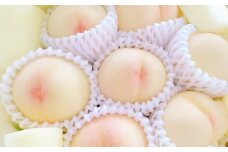 【お中元ギフト】岡山白桃 ロイヤル 5～7玉入り（合計約2kg）【2026年7月上旬～8月下旬 発送予定】【もも 桃 白桃 果物 フルーツ 国産 人気 おすすめ 岡山県 倉敷市】