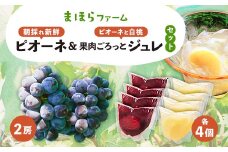 ＜2025年度発送分＞朝採れ新鮮ピオーネ2房&ピオーネと白桃果肉ごろっとジュレセット_ ピオーネ ジュレ セット ふるさと納税 桃 もも モモ ぶどう 葡萄 ブドウ 果物 フルーツ くだもの ゼリー 岡山県 津山市 冷蔵 送料無料 【1030625】