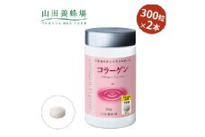 コラーゲン×2本(20988)【1030472】