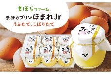 うみたて、しぼりたてまほらプリン ほまれJr_ プリン ふるさと納税 ぷりん しぼりたて まほらスイーツ 津山 卵のコク デザート おやつ スイーツ 洋菓子 牛乳 卵 和三盆 冷蔵 岡山県 津山市 ギフト プレゼント 送料無料 【1033448】