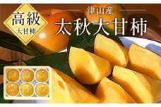 ＜先行受付＞津山産高級大甘柿　太秋大甘柿_ 柿 かき カキ 甘柿 果物 くだもの フルーツ 果実 甘い デザート 岡山県 津山市 産直 産地直送 贈答 ギフト プレゼント 送料無料 【1035172】
