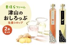 津山のおしろっぷ2本セット(生姜シロップ)【1116459】