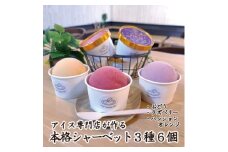 アイス専門店オーナーが作るこだわりシャーベット 3種6個セット各120ml入り 卵不使用 乳不使用【1134942】