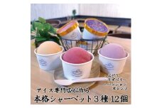 アイス専門店オーナーが作るこだわりシャーベット 3種12個セット各120ml入り 卵不使用 乳不使用【1134943】