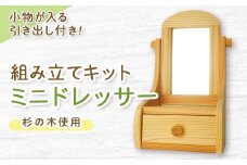 組み立てキット　ミニドレッサー_ おもちゃ 子ども用 インテリア 木製 手作り家具 おしゃれ 岡山県 津山市 人気 おすすめ 送料無料 贈答 ギフト 【1214623】