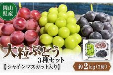 ＜2025年10月より発送＞大粒ぶどう3種セット2kg シャインマスカット ピオーネ クイーンニーナ_シャインマスカット ぶどう 葡萄 ブドウ マスカット 種無し 大粒 3種 セット 果物 フルーツ くだもの 岡山県 津山市 甘い 産直 産地直送 送料無料【1244621】