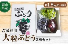 ＜2025年10月より発送＞訳あり大粒ぶどう3種セット(シャインマスカット・ピオーネ等3種おまかせ)_ ふるさと納税 ぶどう 葡萄 ブドウ 果物 フルーツ くだもの デザート おやつ 訳あり 家庭用 大粒 おまかせ 3種 セット 岡山県 津山市 送料無料 【1244678】