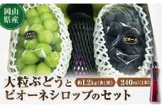 ＜岡山県＞大粒ぶどうとピオーネシロップのセット　シャインマスカット　ピオーネ【1244641】
