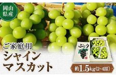 ＜2025年10月より発送＞訳ありシャインマスカット 2~4房 1.5kg ご家庭用_ シャインマスカット ぶどう 葡萄 ブドウ マスカット 果物 くだもの フルーツ 甘い 訳あり 家庭用 自宅用 産直 産地直送 岡山県 津山市 送料無料 【1275134】
