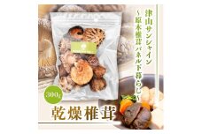 岡山県津山市産　原木椎茸「津山サンシャイン～原木椎茸パネル下暮らし～」乾燥椎茸300g【1281676】