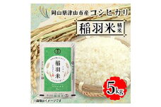 ＜岡山県津山市産＞稲羽米5kg(コシヒカリ)【1297320】