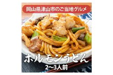 冷凍ホルモンうどんセット2人前【1300748】