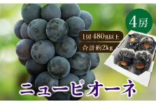 ＜2025年発送＞岡山県産　ニューピオーネ4房(1房480g以上・合計約2kg)【1281357】